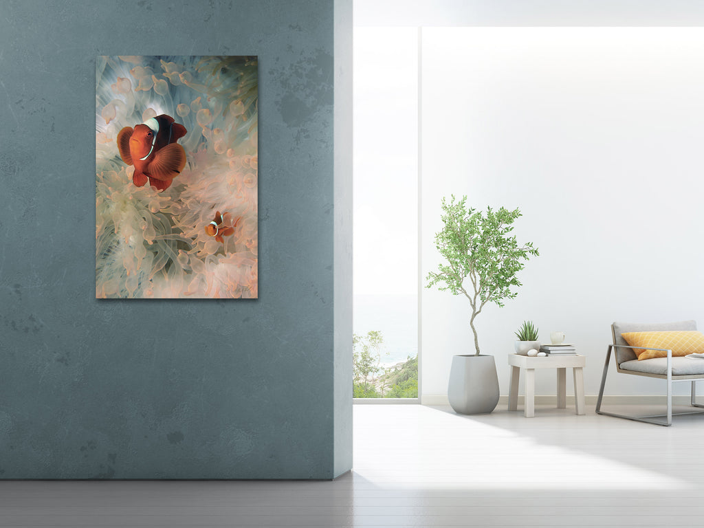 Spinecheek Clownfish - Original Photograph Nautical Home Decor Printed on Aluminum to fashion last a lifetime