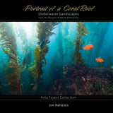 "Kelp Forest Collection" Photography Book and Catalog